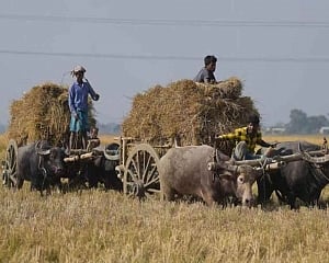 Farm loan waiver not on Guj govt's mind, hints Dy CM