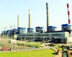 Green panel puts APDL plant on hold
