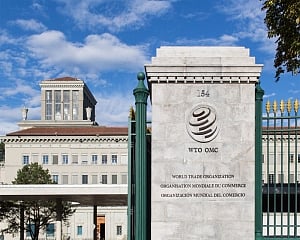 India asks WTO to play key role in enabling people to seize benefits of economic globalisation