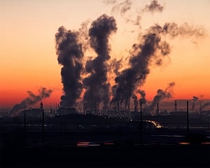 Light pollution at night may up insomnia risk in elderly