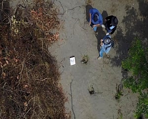 Mass grave site with 166 bodies found in Mexico