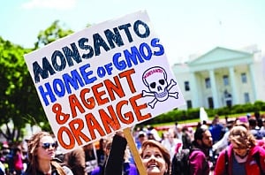 Monsanto pigeons come home to roost
