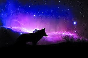 One with the cosmic design