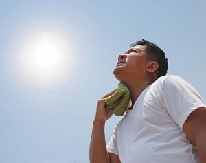 Rising global temperatures likely to up heat-related deaths: Study