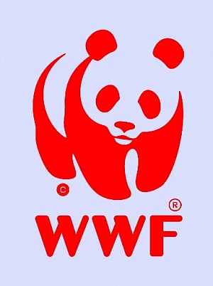 Save the world