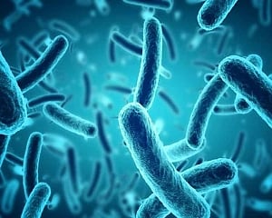 Scientists develop electrical protein switches within cell