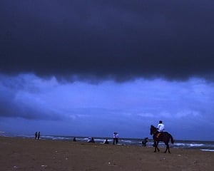 Severe cyclonic storm 'Gaja' makes landfall in TN