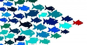 The leadership question