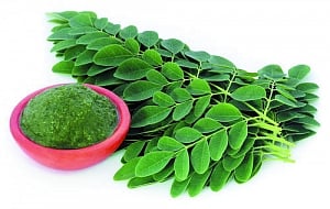 The new superfood on the block