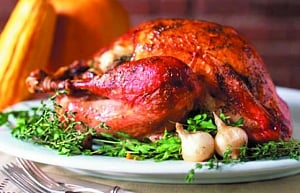 The tail-spin tale of Thanksgiving