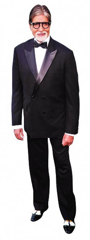 Trend Blazer