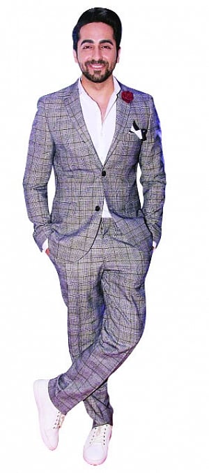 Trend Blazer