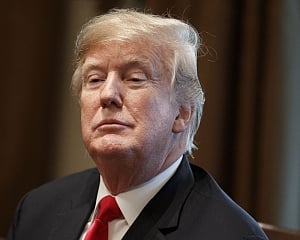 Trump calls India a true friend: US official