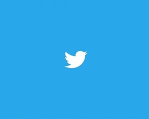 Twitter revives pure chronological timeline for over 300 mn users