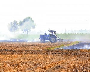 Unviable alternative fails to douse stubble fire