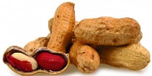 Warm Foods