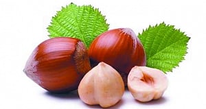 WarmFoods