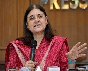 WCD organising festival next week to boost organic culture in India: Maneka Gandhi