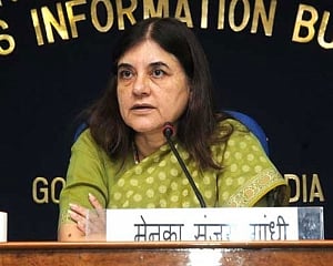 WCD panel soon to look into sexual harassment cases:official