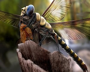 When insects rule the world!