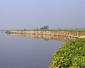 Yamuna water level recedes but still above danger mark
