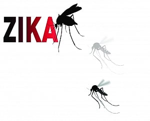 Zika Scare