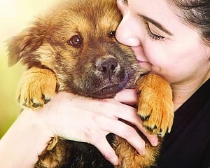 ‘Be aware’ of dogs