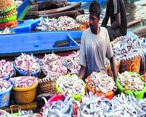 ‘Toxic’ fish keeps Delhi on edge