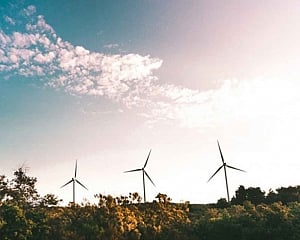 'India-EU should use clean energy as platform to tackle climate change'