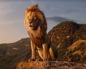 'The Lion King' update: Rs 74.59cr in India till Monday
