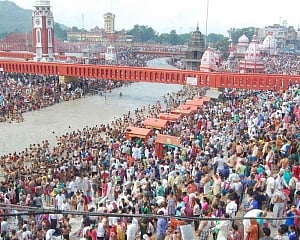 'World's largest seed' centre of attraction at Kumbh