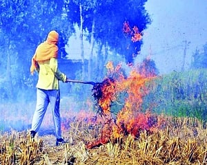 A BURNING ISSUE