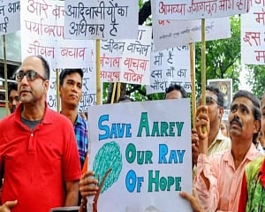 Aarey protest: Conditional bail for 29 protesters
