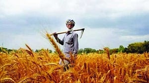 Agriculture down to 2% in Q1 from 5.1% in last fiscal