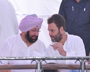 Amarinder favours young leader with pan-India appeal as Rahul Gandhi's replacement