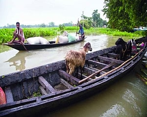 Annual trial by water