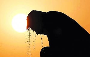 Bihar heatwave claims 61 lives, 3 districts hit