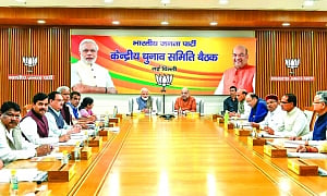 BJP drops all 10 sitting MPs from Chhattisgarh