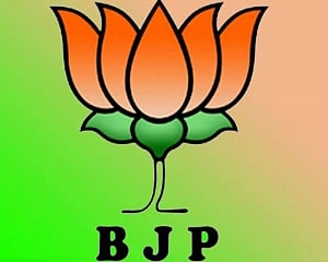 BJP website down after alleged hacking attempt