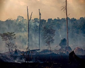 Bolsonaro limits ban on fires in Brazil to Amazon only