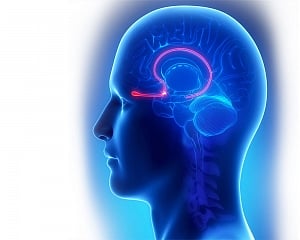 Brain scans can detect Parkinson's years before symptom appear: Study