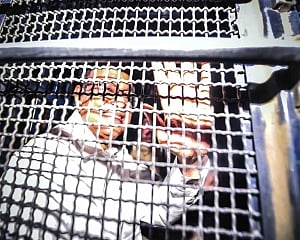 Chidambaram sent to Tihar Jail for 14 days