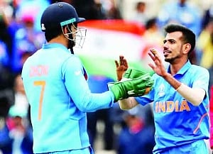 Cricket Cradle