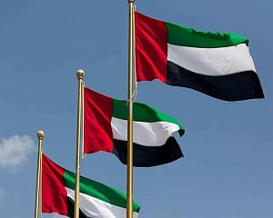 Critically ill Indian man airlifted from Dubai after community's help