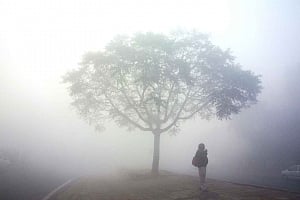 Delhi gasps for clean air as cloud of dust envelops city