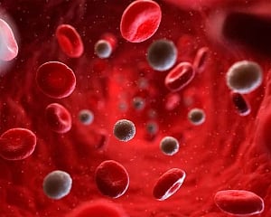 Discovery of immune cells to pave way for universal flu vaccine