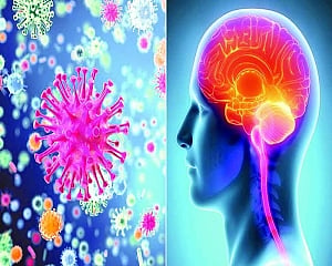 Dockyard | Early prognosis key to treatment