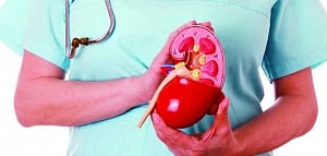 Docyard | Early detection is key