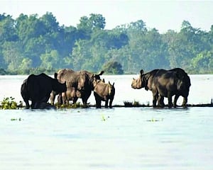 Dual-pronged approach to flood relief
