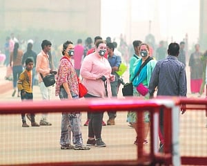 Face action if any stubble burns: SC to Chief Secys